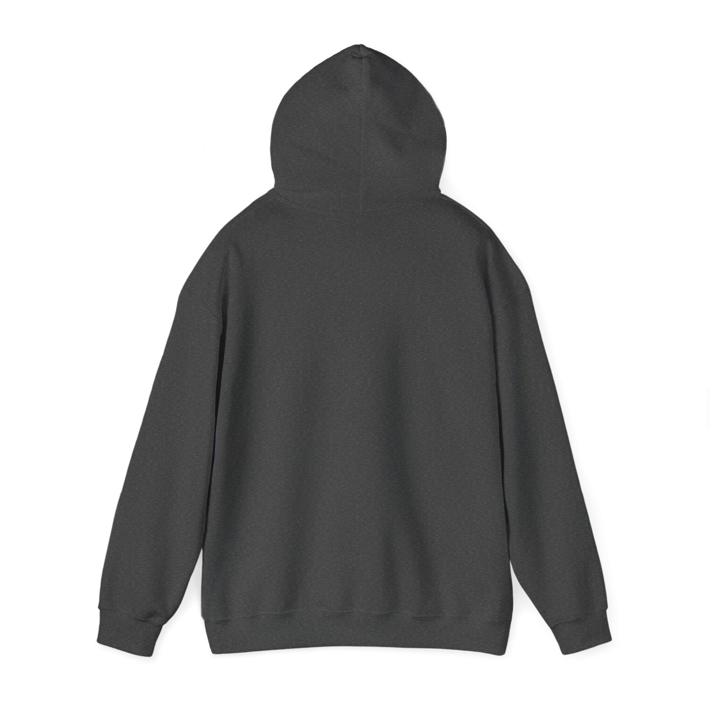 Never Lose Focus - Heavy Blend™ Hooded Sweatshirt