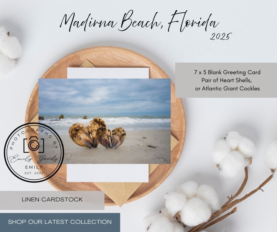 Blank Greeting Card | 5 x 7