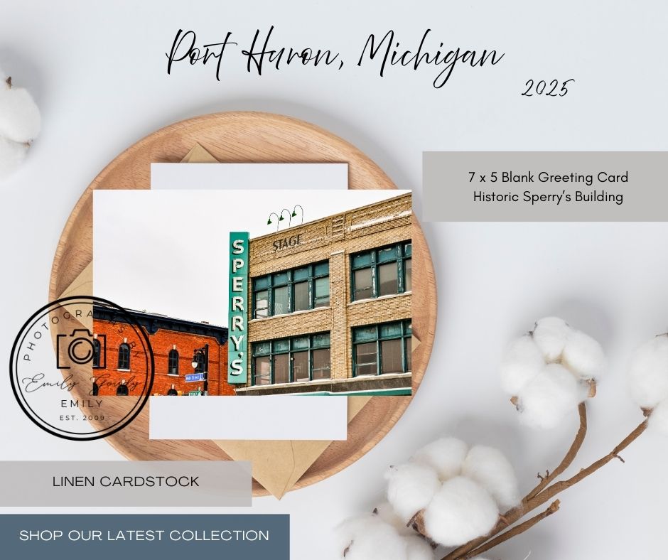 Blank Greeting Card | 5 x 7