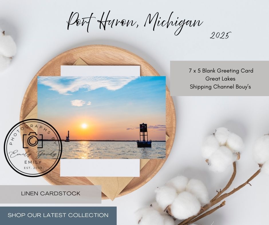 Blank Greeting Card | 5 x 7