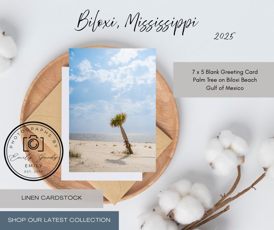Blank Greeting Card | 5 x 7