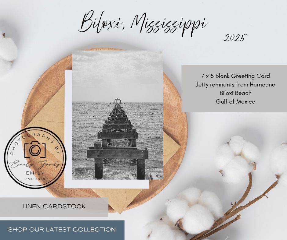 Blank Greeting Card | 5 x 7