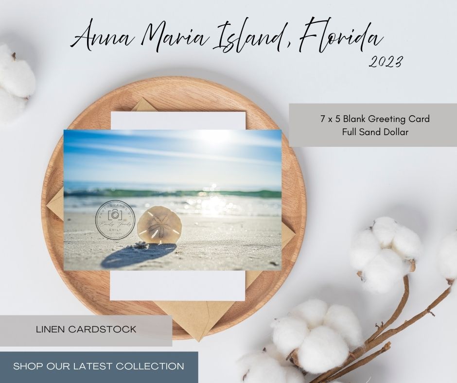 Blank Greeting Card | 5 x 7