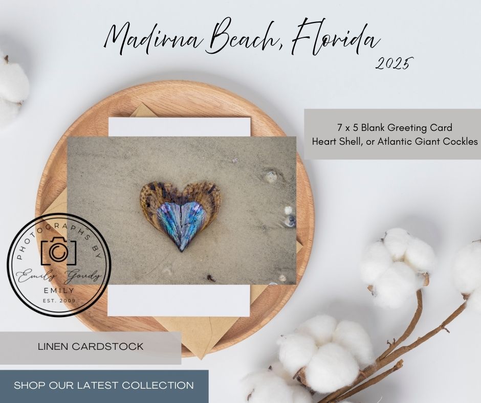 Blank Greeting Card | 5 x 7